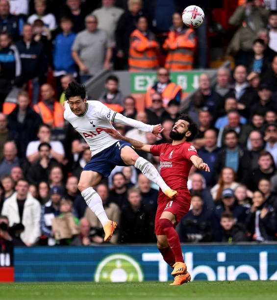 洛国富需要 洛国富需要